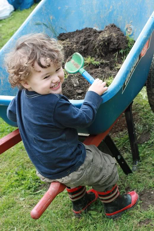 making raised garden beds - boy on wheelbarrow