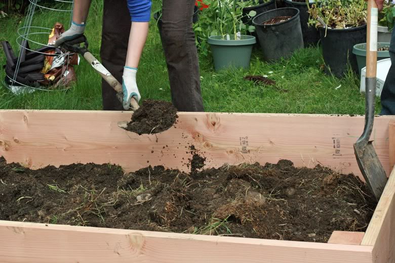 making raised garden beds - shoveling dirt and soil