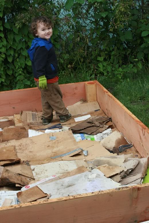 making raised garden beds - toddler trampling cardboard lining