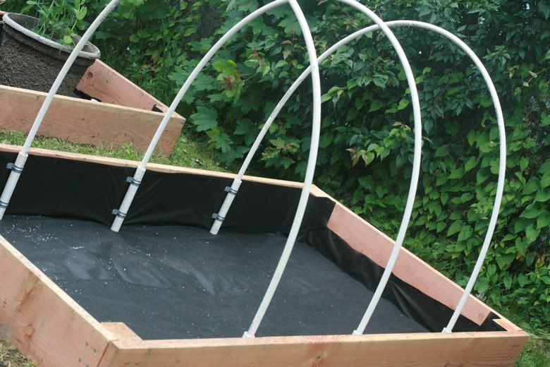 making raised garden beds - pvc hoops over finished bed