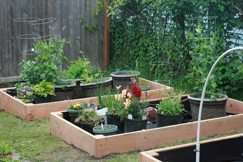 making 3 raised garden beds - just add soil
