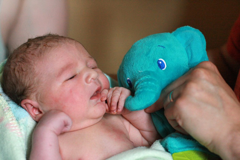 big brother and baby brother meeting — older sibling's gift of stuffed elephant toy to younger brother