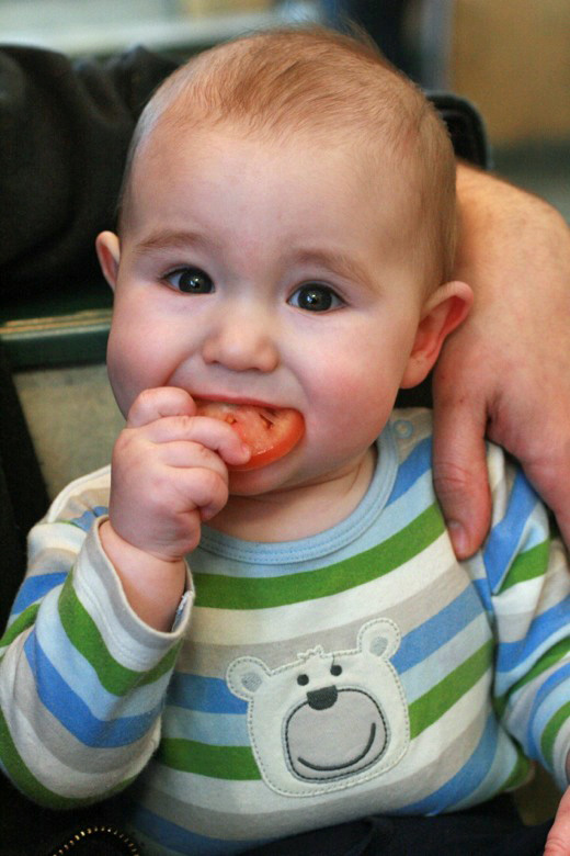 tasting a tomato slice — baby led solids