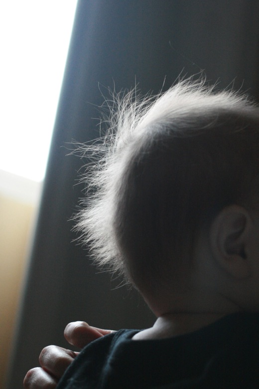 baby boy fuzzy hair silhouetted