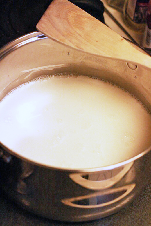milk in large pot - homemade ricotta cheese recipe