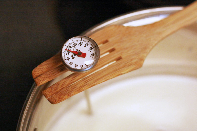 kitchen thermometer in pot of milk - homemade ricotta cheese recipe