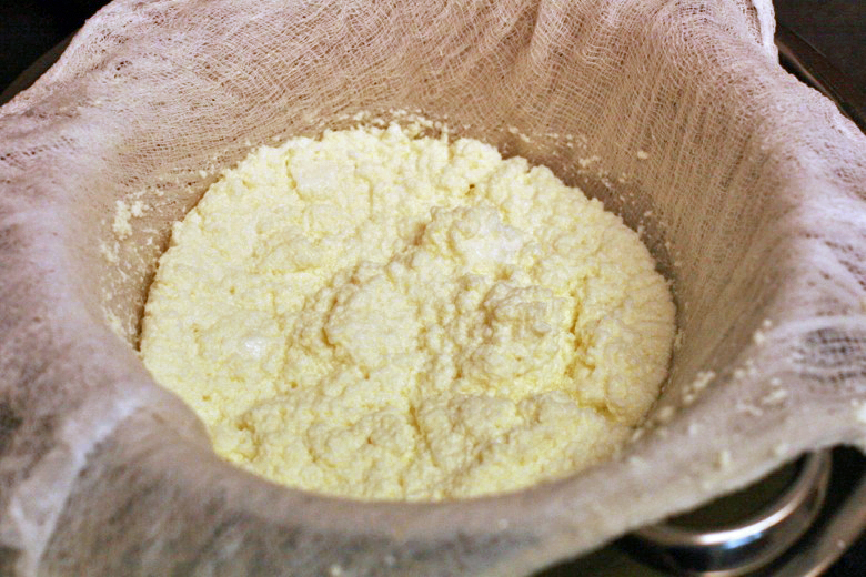 strain milk into cheesecloth leaving curds - homemade ricotta cheese recipe