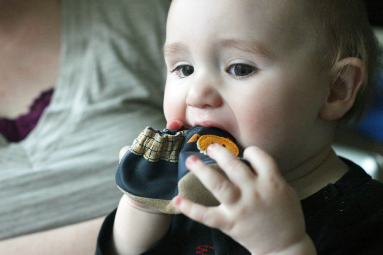 baby eating robeez shoe present at birthday