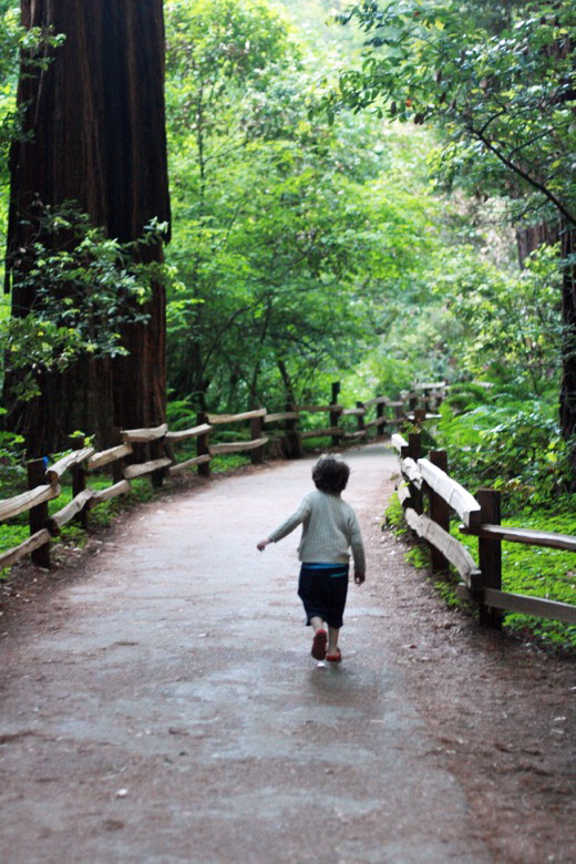 boy running through redwood trees in Muir Woods