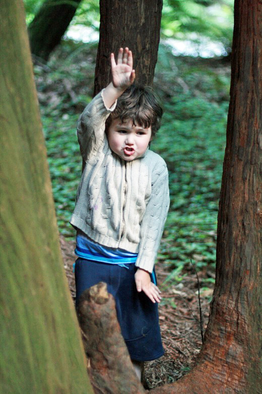 boy demonstrating tall redwood tree Muir Woods &#8212; San Francisco California trip travel