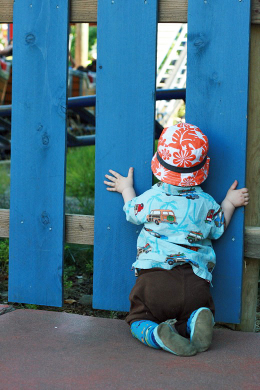 baby in amusement park peering looking through blue fence &#8212;&nbsp;Six Flags California