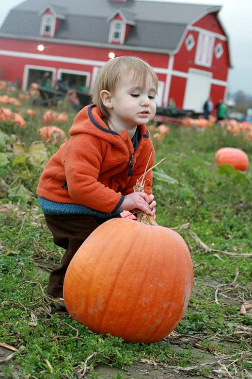 Hobo Mama: Pumpkin patch