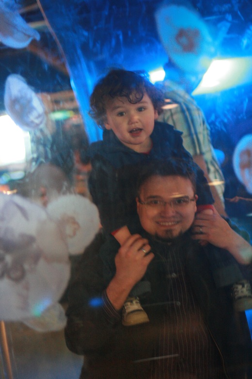 father and son through jellyfish tank Seattle Aquarium