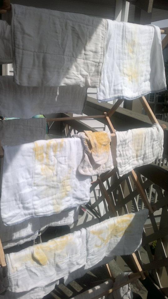 stained cloth diapers — bleaching in sun