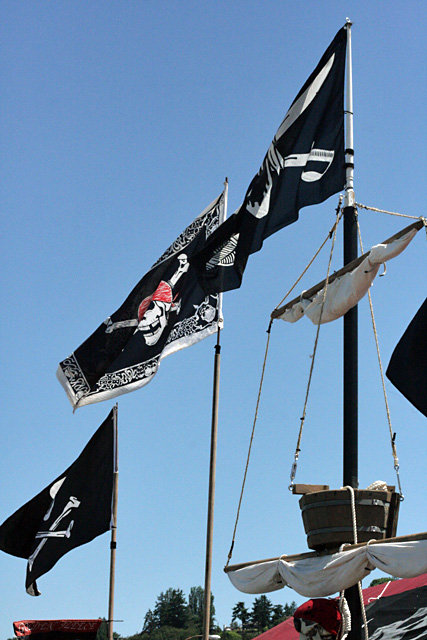 6 pirate flags