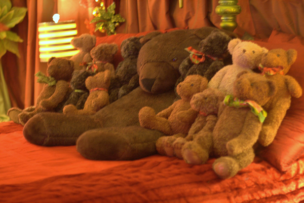 teddy bear suite — Christmas downtown Seattle meetup holidays