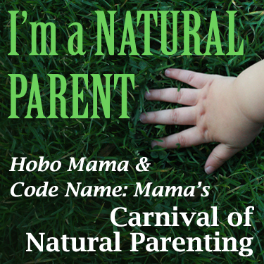 Hobo Mama - Carnival of Natural Parenting — 2012 year in review