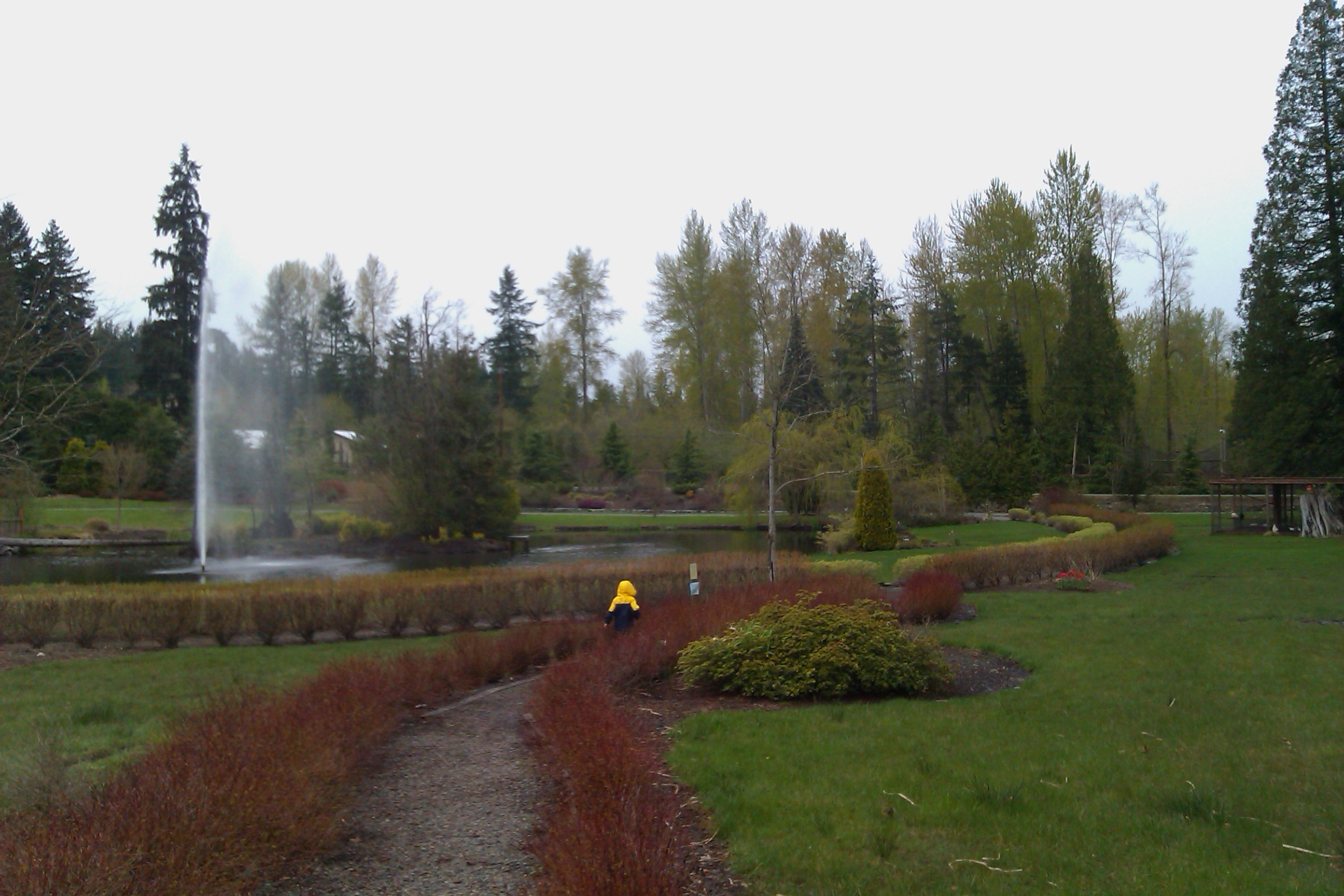 boy in rain jacket walking ahead on gravel path by pond
