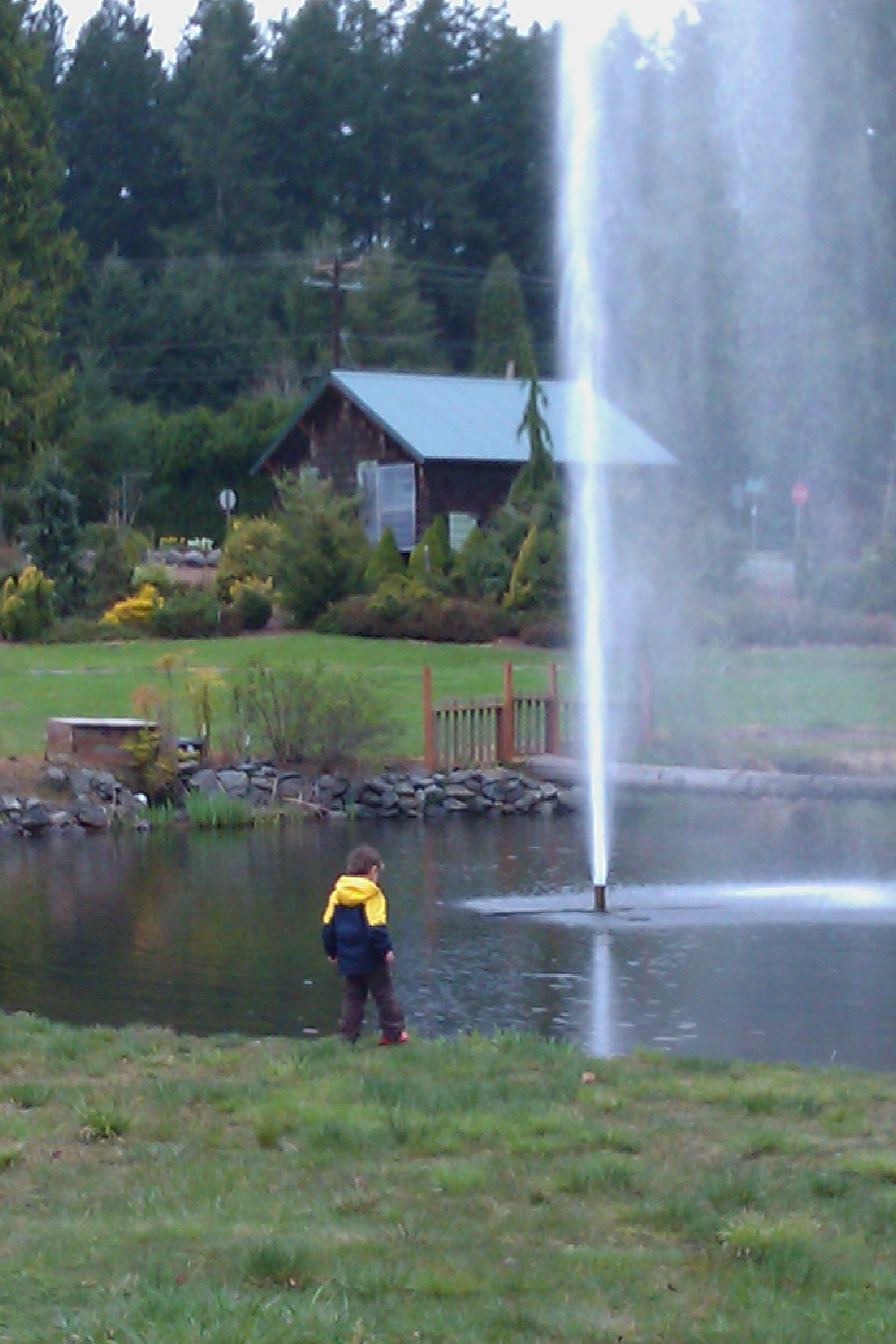 boy watching fountain on pond — flower world