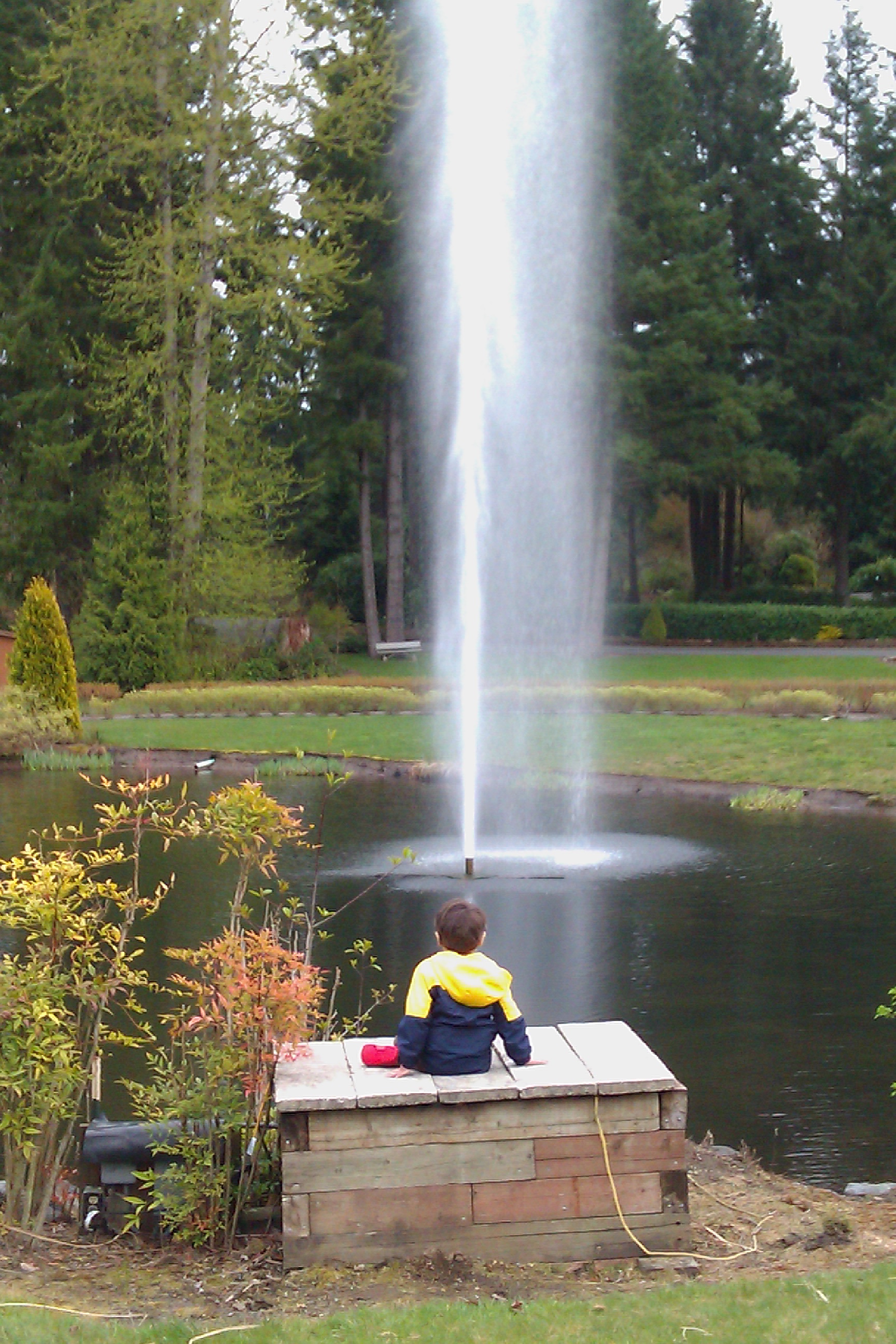 boy sitting and watching fountain on pond