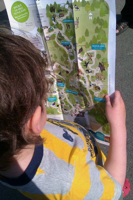 boy reading map at Woodland Park Zoo Seattle
