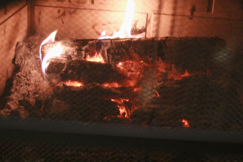 first fire of the season — Christmas 2011