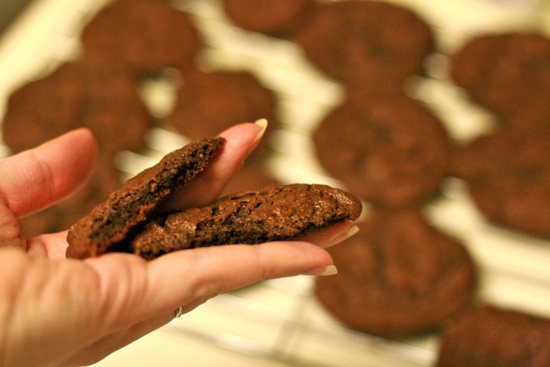 Paleo cocoa – almond butter cookies == Hobo Mama