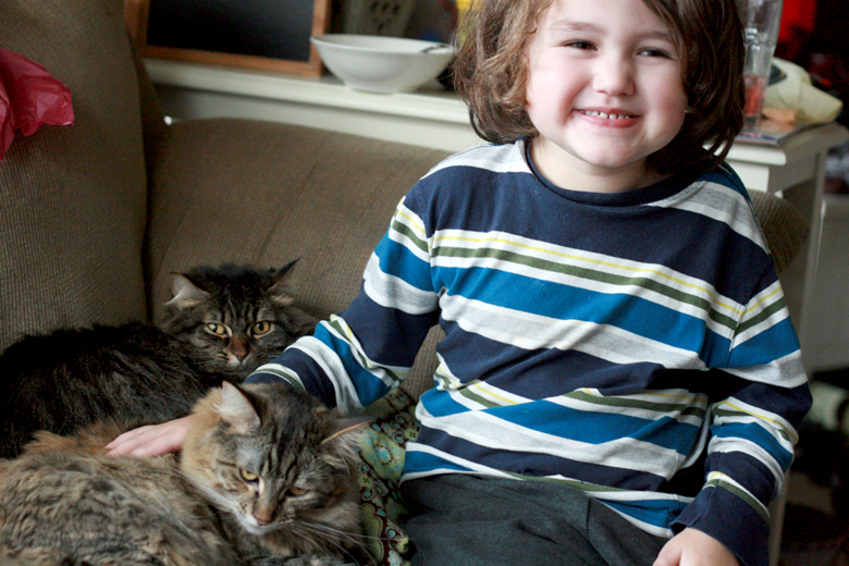 boy smiling with cats - valentine's day 2013