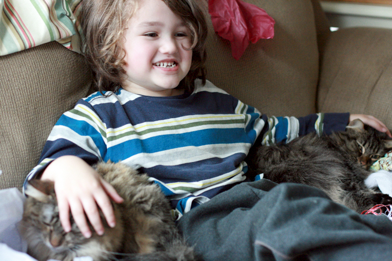 boy smiling with cats - valentine's day 2013