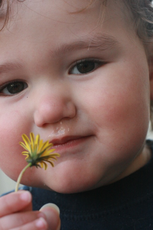 runny nosed kid holding a dandelion