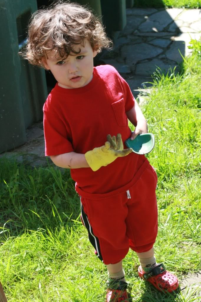 boy in garden glove with toy shovel