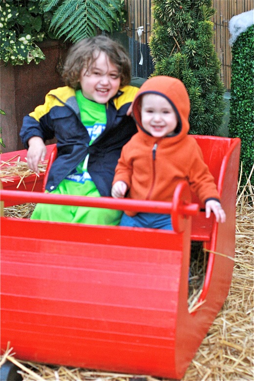 brothers in sleigh at Swanson's Nursery Seattle