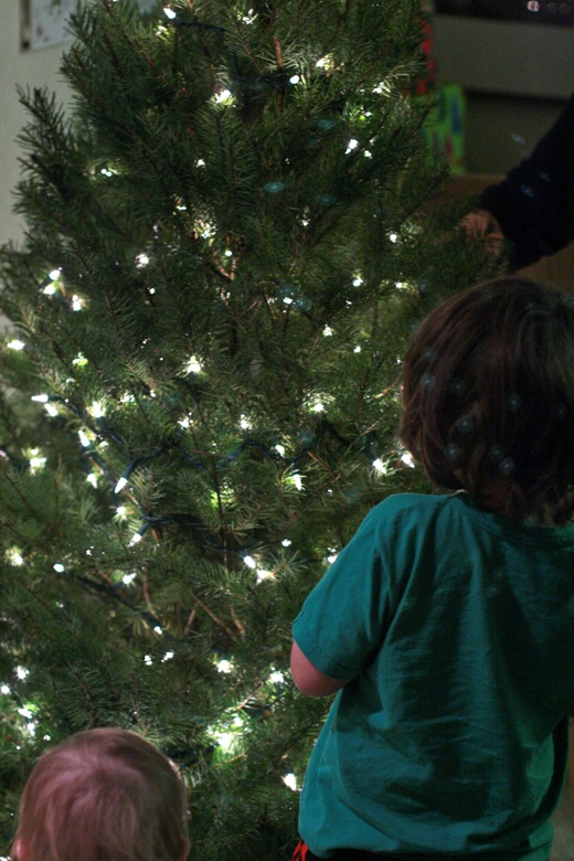 boys watching the tree &#8212;&nbsp;christmas12 holidays mikko m5yo alrik a1yo a18mo