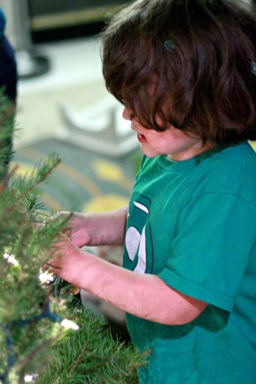 boy helping decorate the tree with ornaments &#8212;&nbsp;christmas12 holidays mikko m5yo