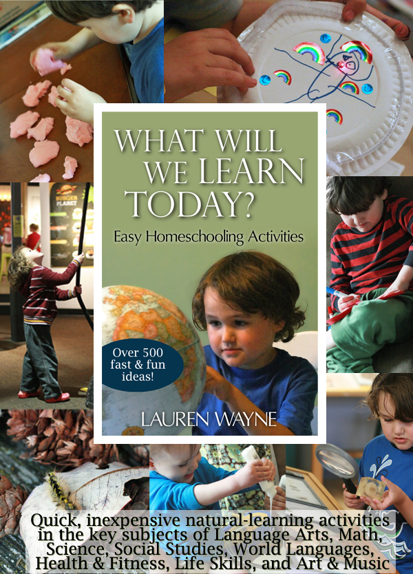 What Will We Learn Today? More than 550 Easy Homeschooling Activities == Lauren Wayne