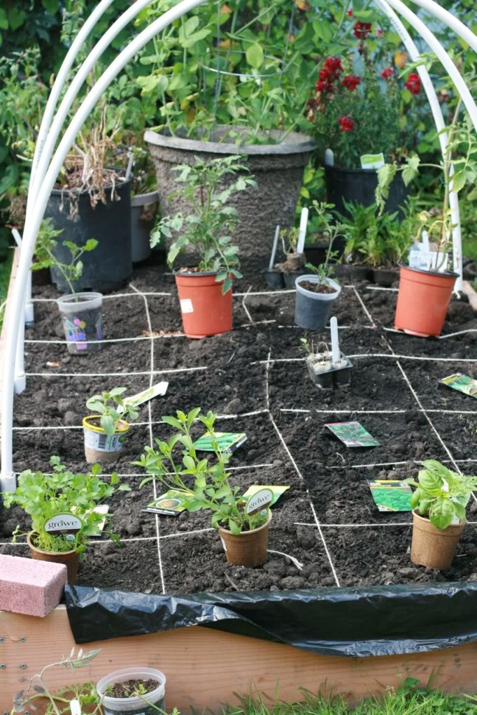 square foot gardening grid with twine