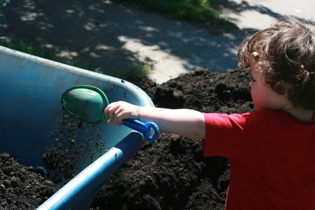 boy shoveling soil into wheelbarrow with trowel